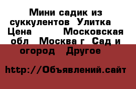 Мини-садик из суккулентов “Улитка“ › Цена ­ 400 - Московская обл., Москва г. Сад и огород » Другое   